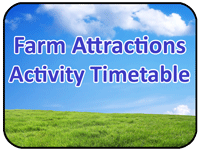 med attractionsactivitybutt