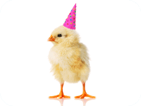 med birthdaychick