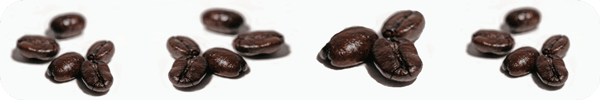 picbanner_munch2