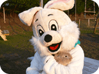 med_easter_6