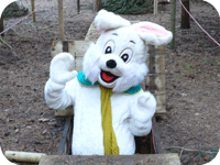 med_easter_8