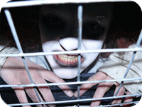 med scareshow 4
