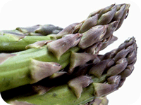 med_asparagus_1
