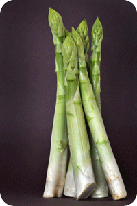 medvert asparagus2