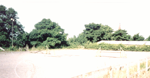 The all weather PVC granule menage